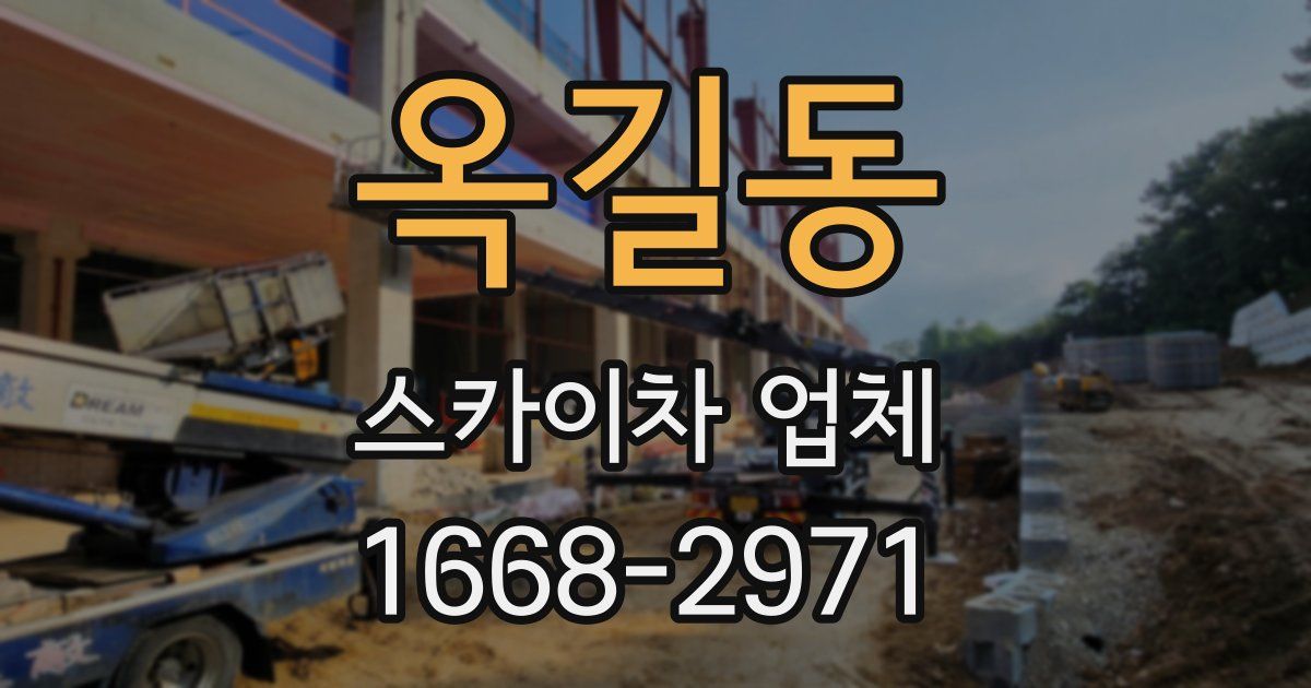 옥길동 스카이차 업체