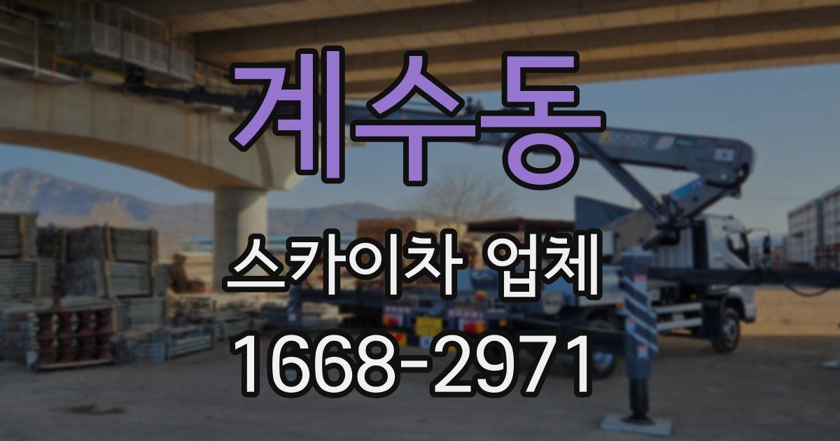 계수동 스카이차 업체
