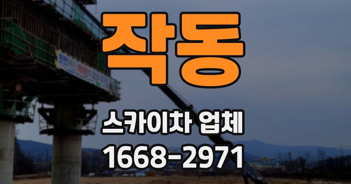 작동 스카이차 업체