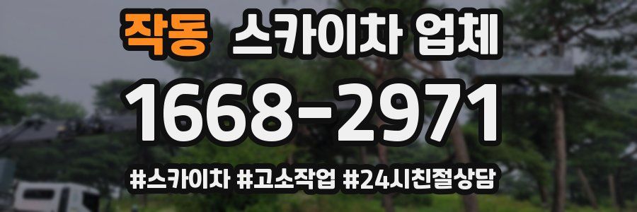 작동 스카이차 업체