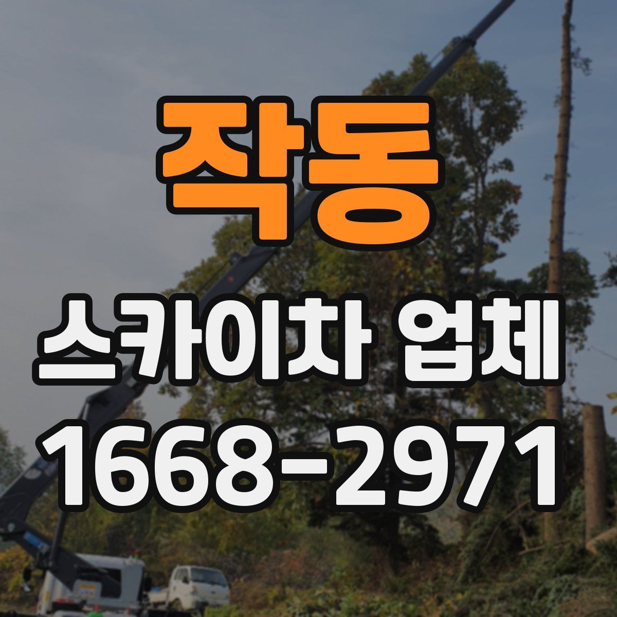 작동 스카이차 업체