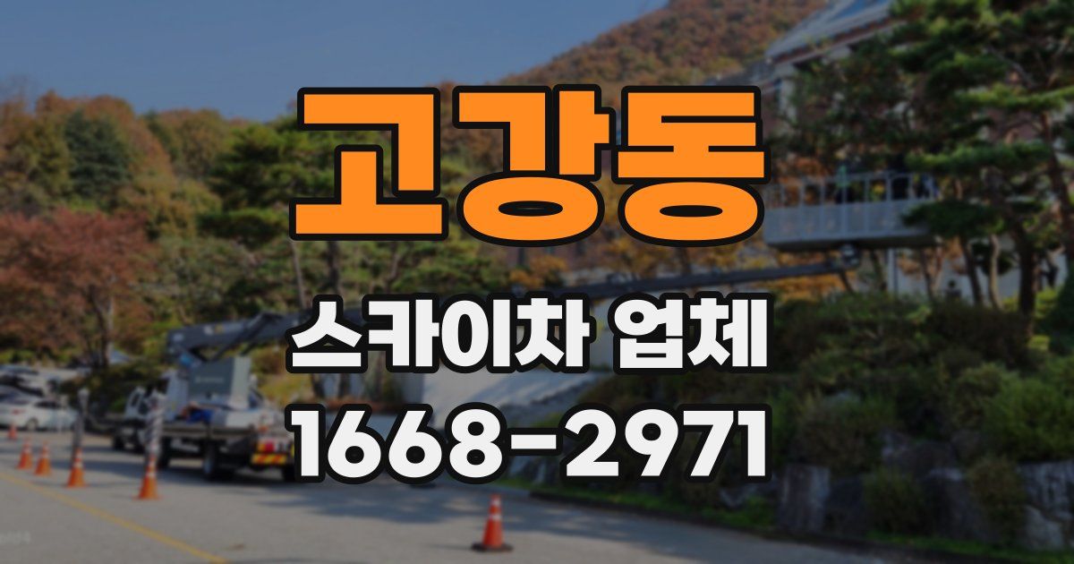 고강동 스카이차 업체
