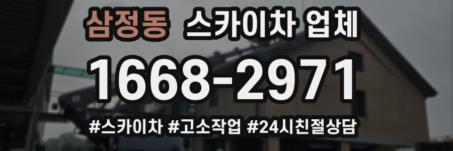 삼정동 스카이차 업체