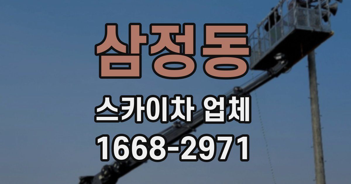 삼정동 스카이차 업체