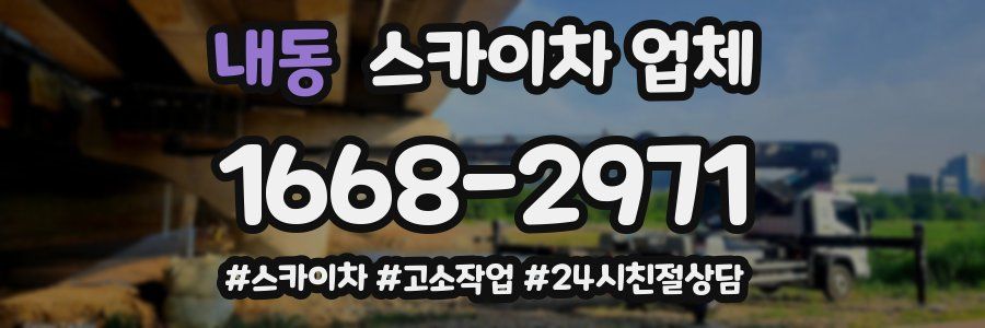내동 스카이차 업체