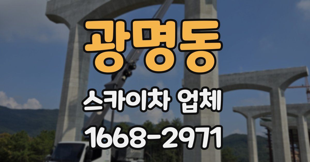 광명동 스카이차 업체