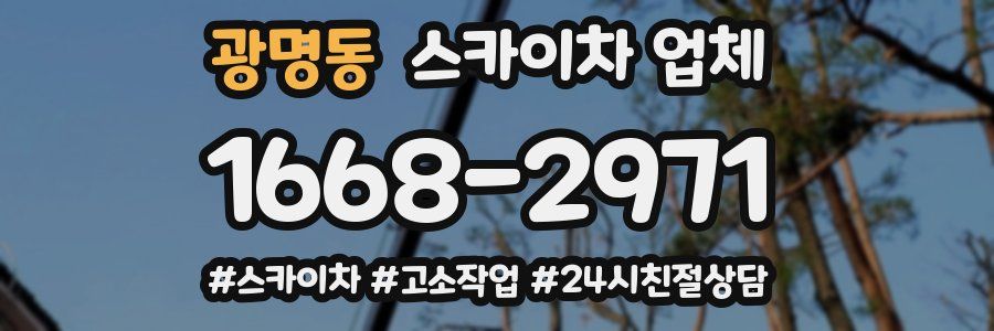 광명동 스카이차 업체