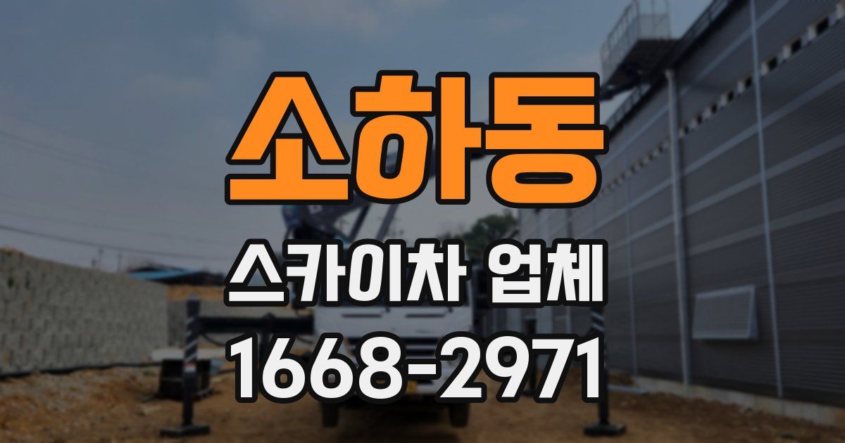 소하동 스카이차 업체
