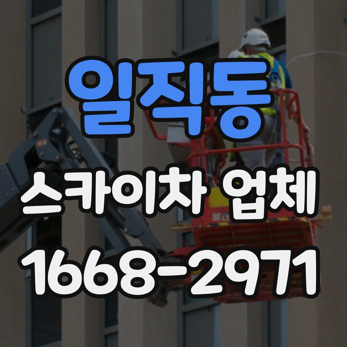 일직동 스카이차 업체
