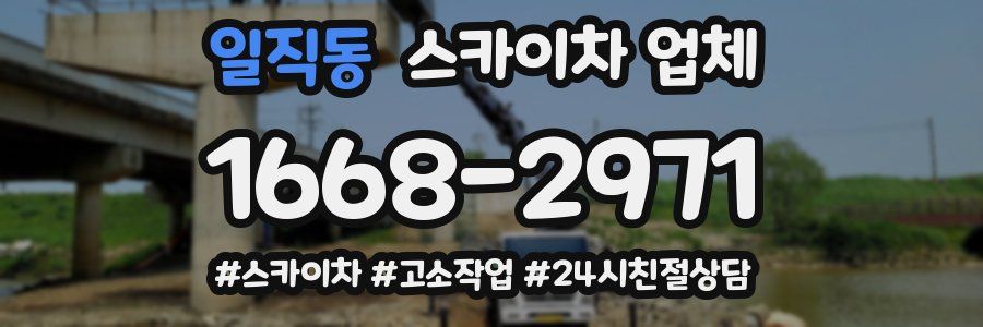 일직동 스카이차 업체