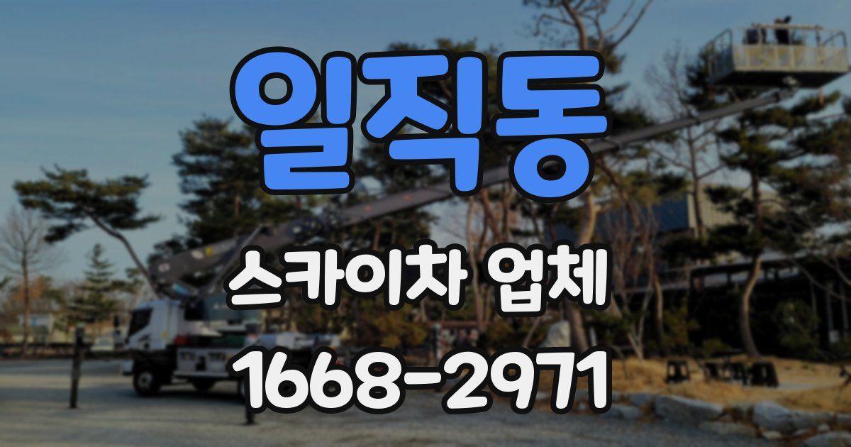 일직동 스카이차 업체