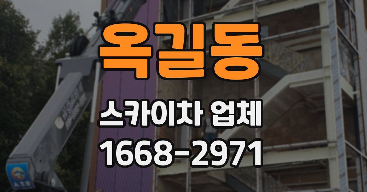 옥길동 스카이차 업체