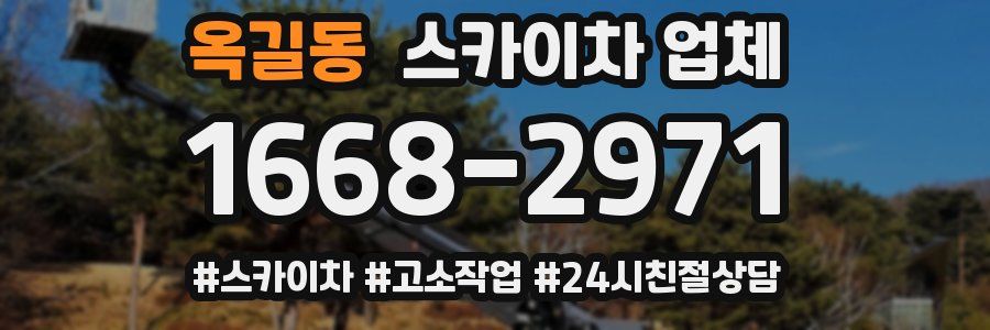 옥길동 스카이차 업체