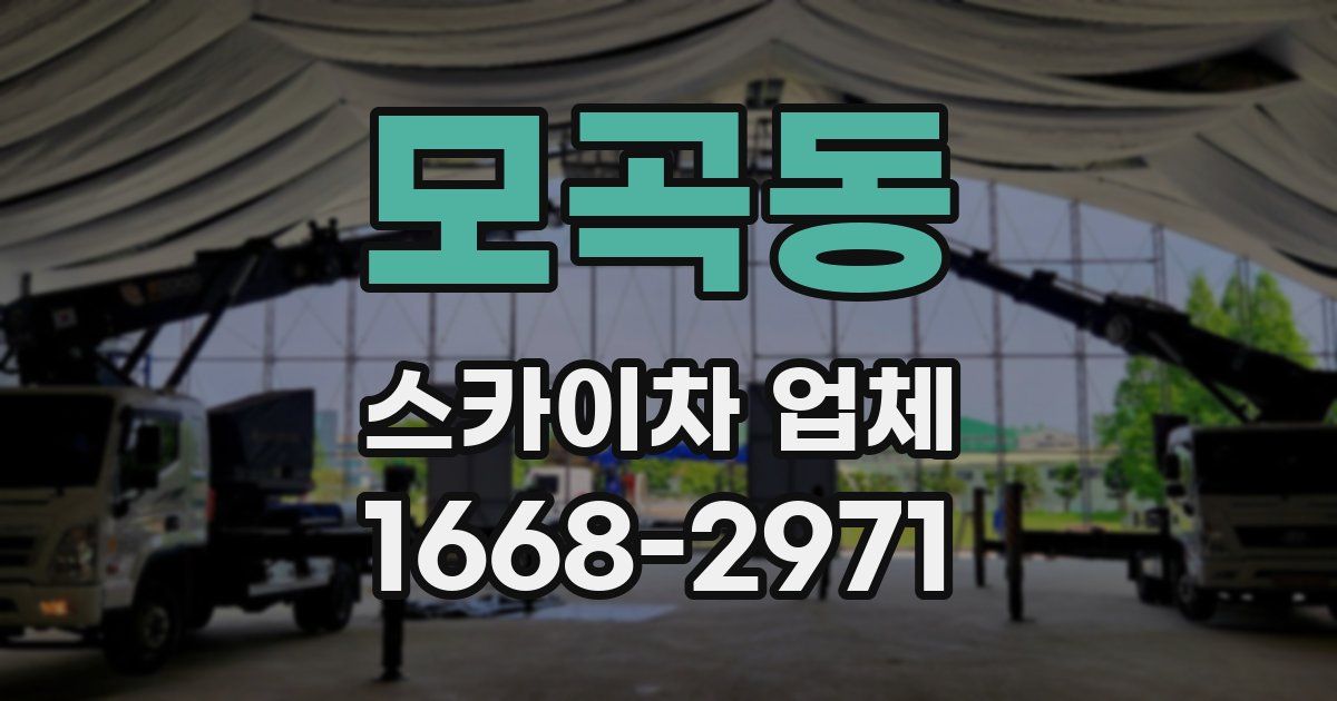 모곡동 스카이차 업체