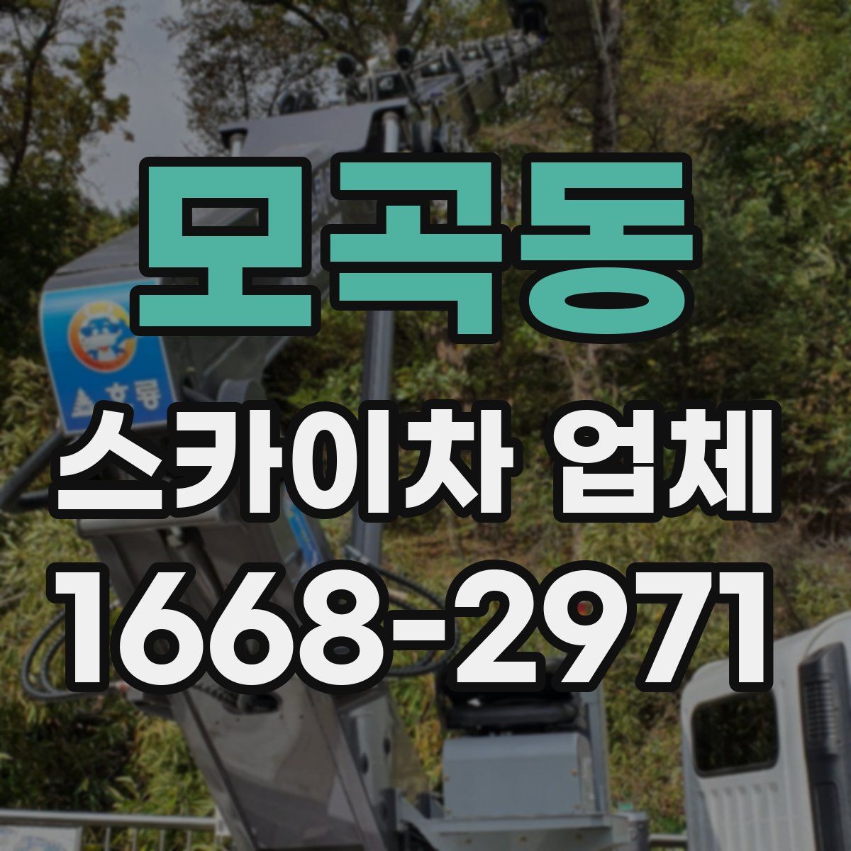 모곡동 스카이차 업체