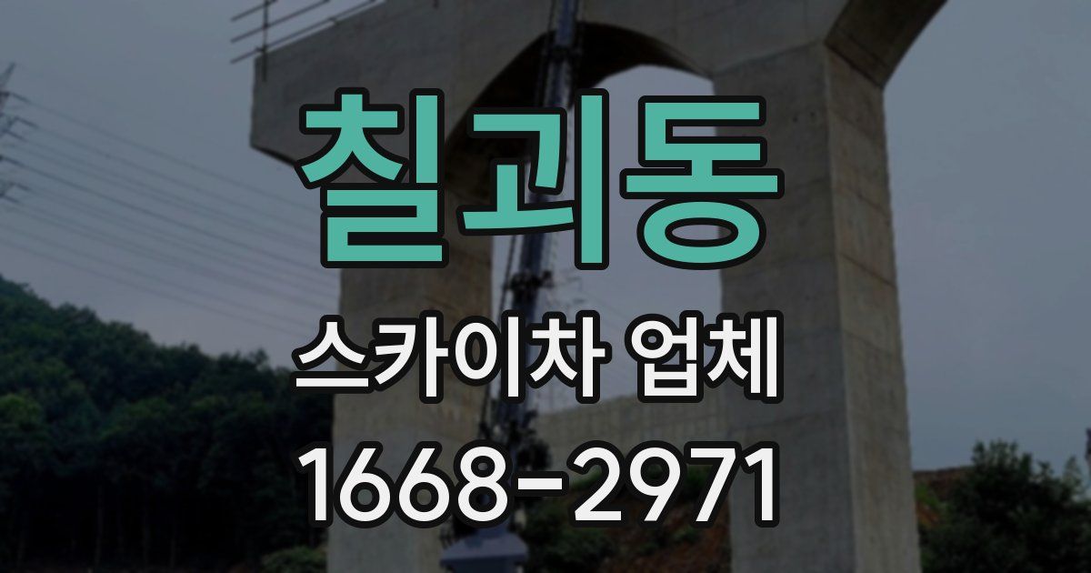 칠괴동 스카이차 업체