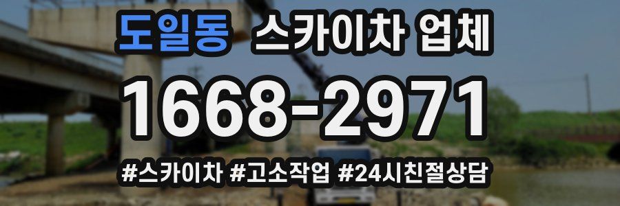 도일동 스카이차 업체