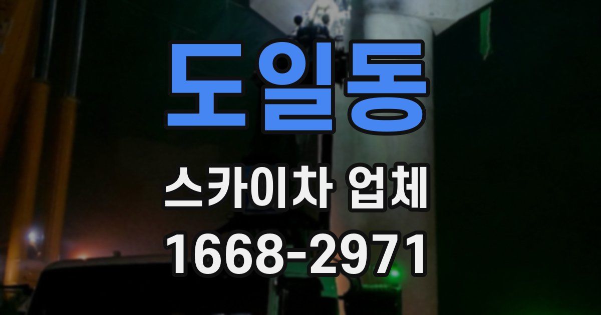 도일동 스카이차 업체