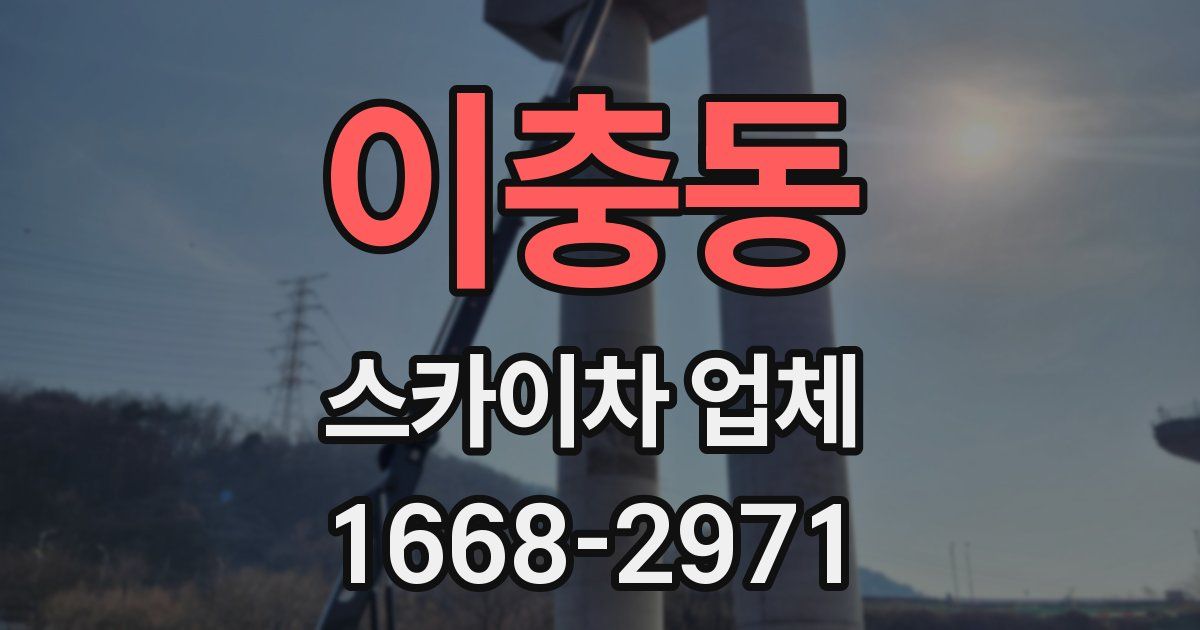 이충동 스카이차 업체