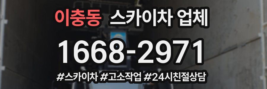 이충동 스카이차 업체