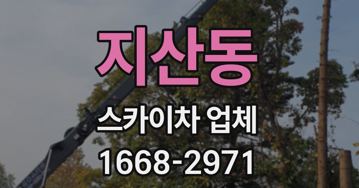 지산동 스카이차 업체