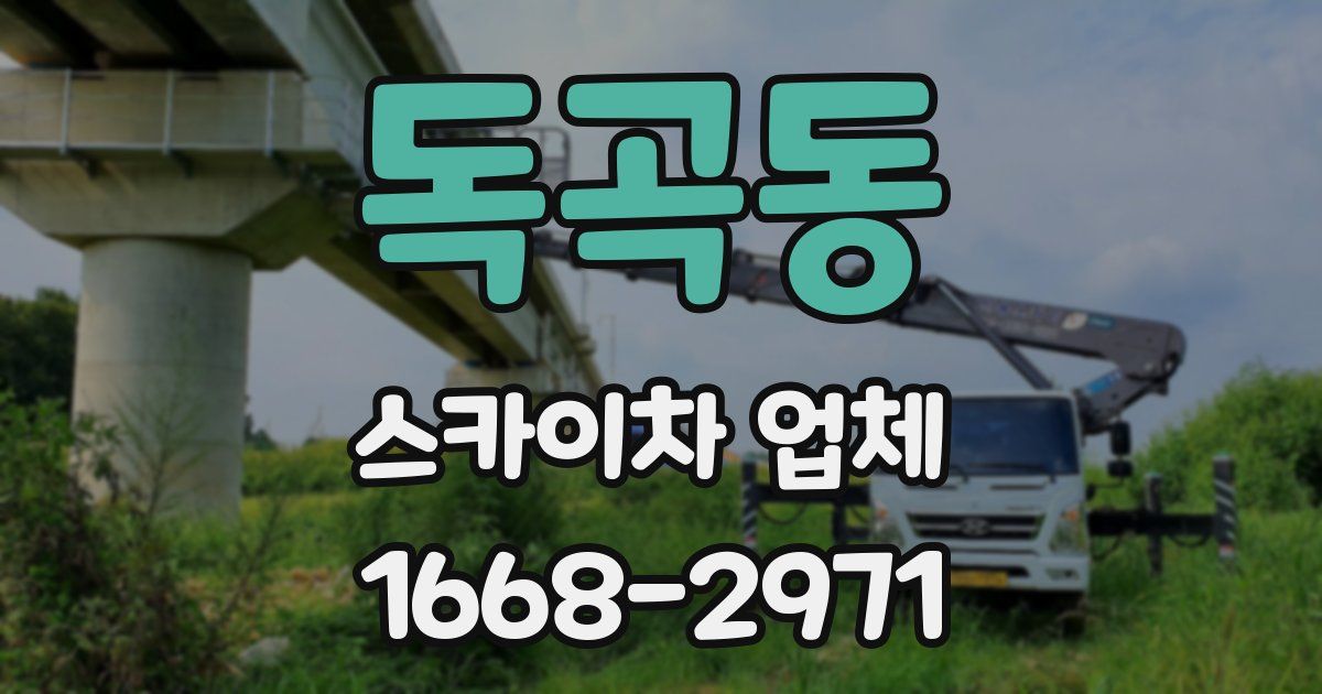 독곡동 스카이차 업체