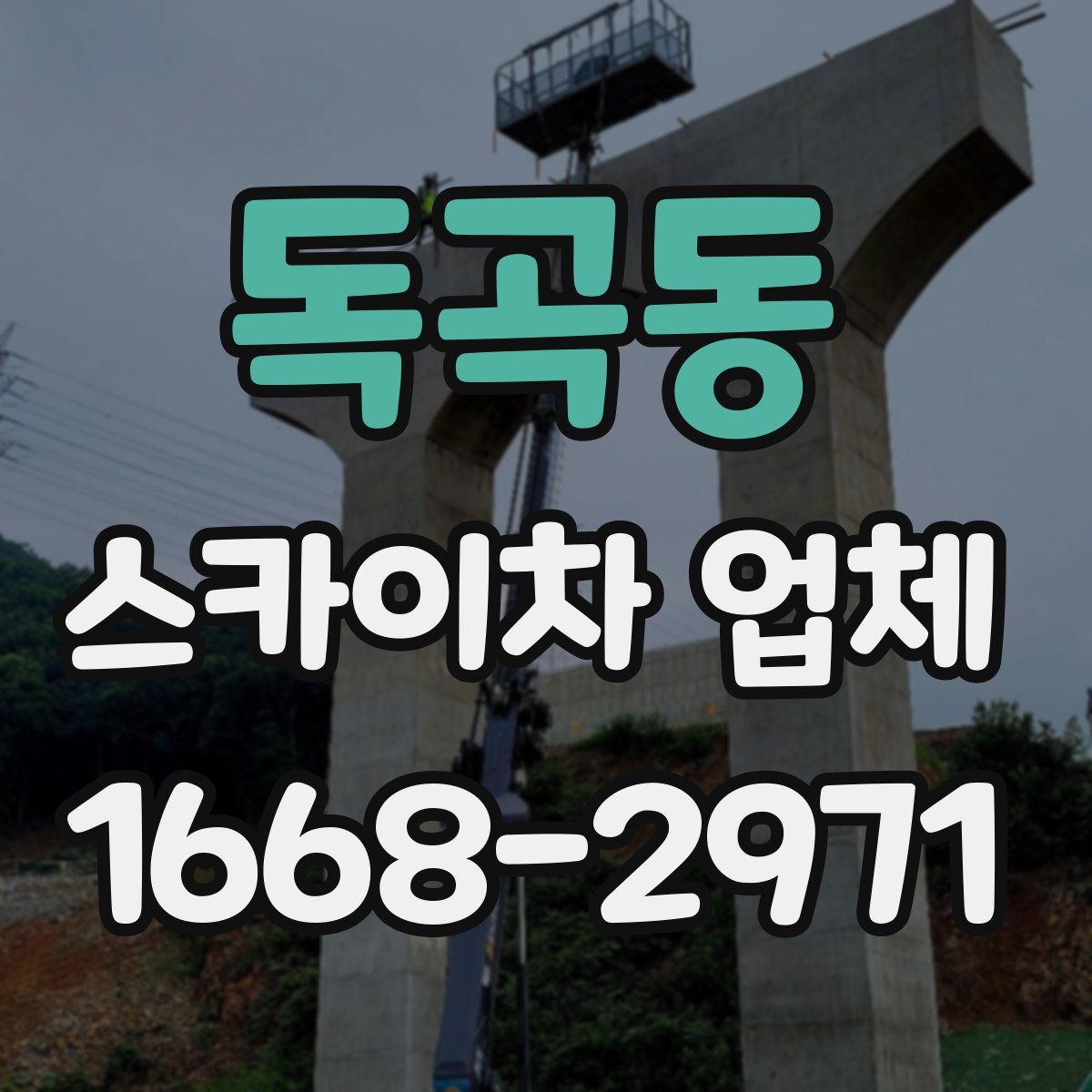 독곡동 스카이차 업체