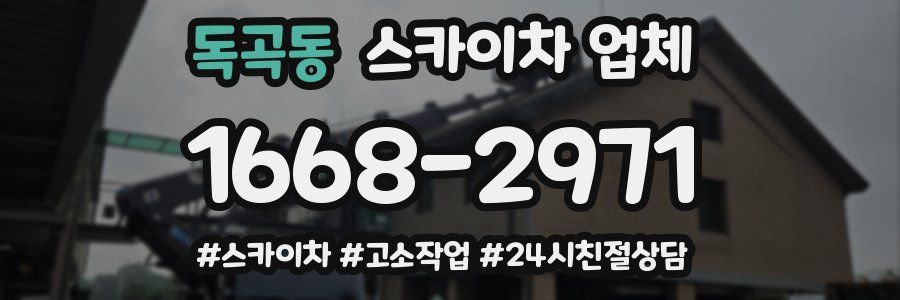독곡동 스카이차 업체