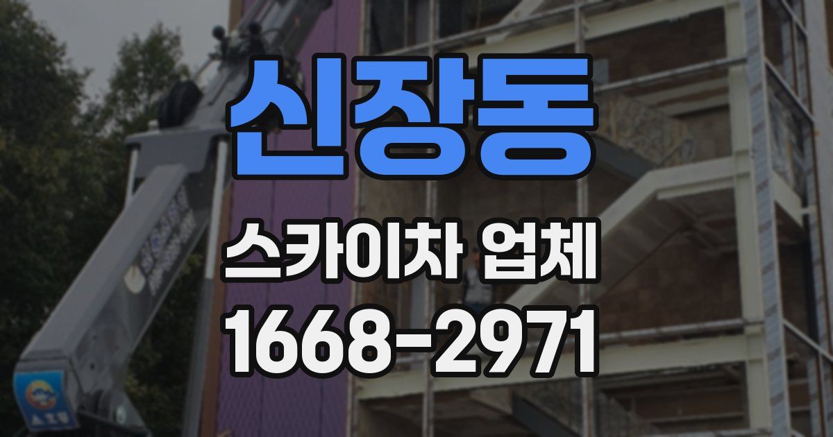 신장동 스카이차 업체