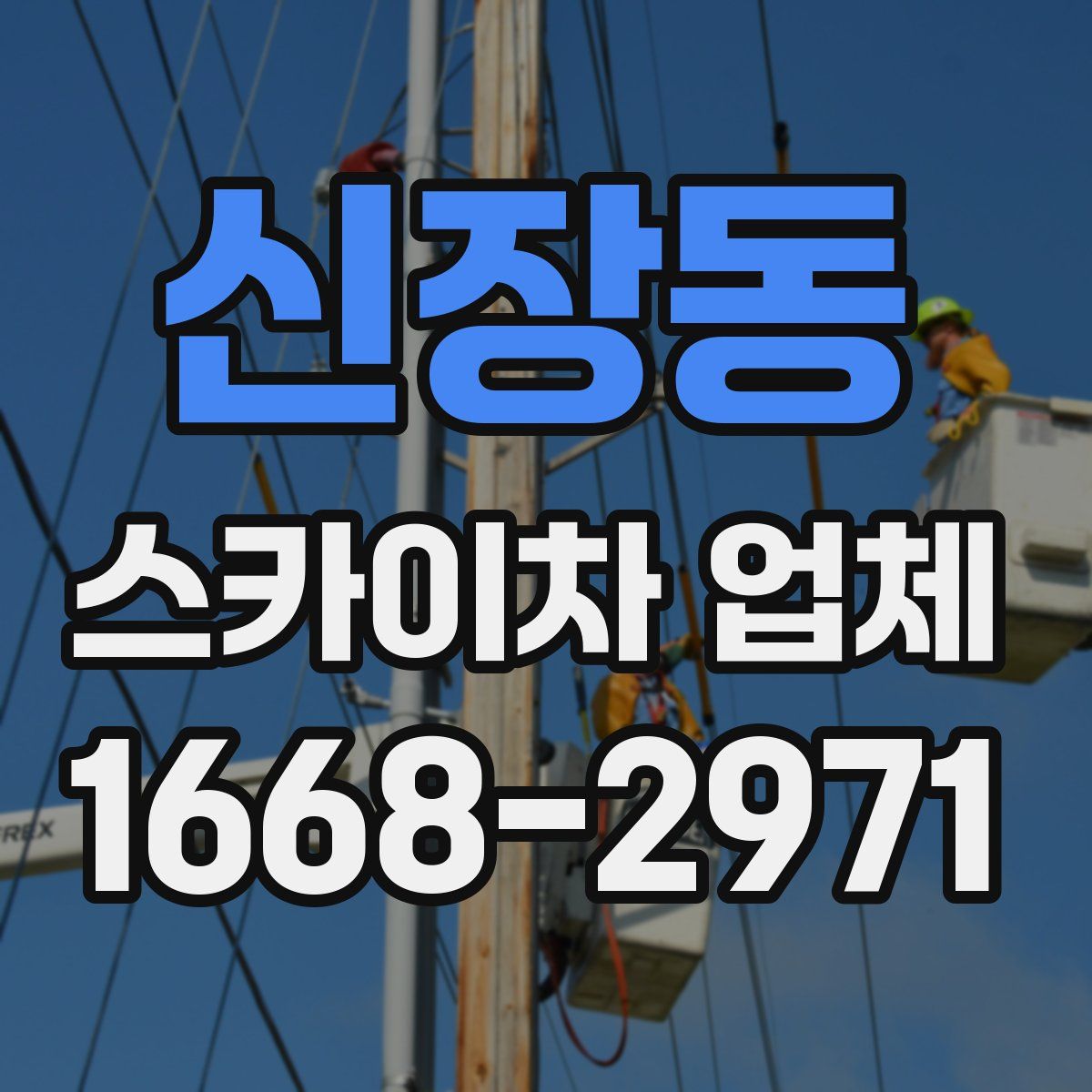 신장동 스카이차 업체