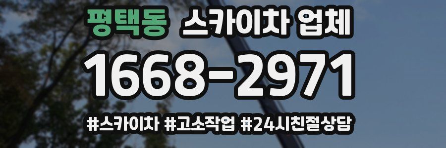 평택동 스카이차 업체