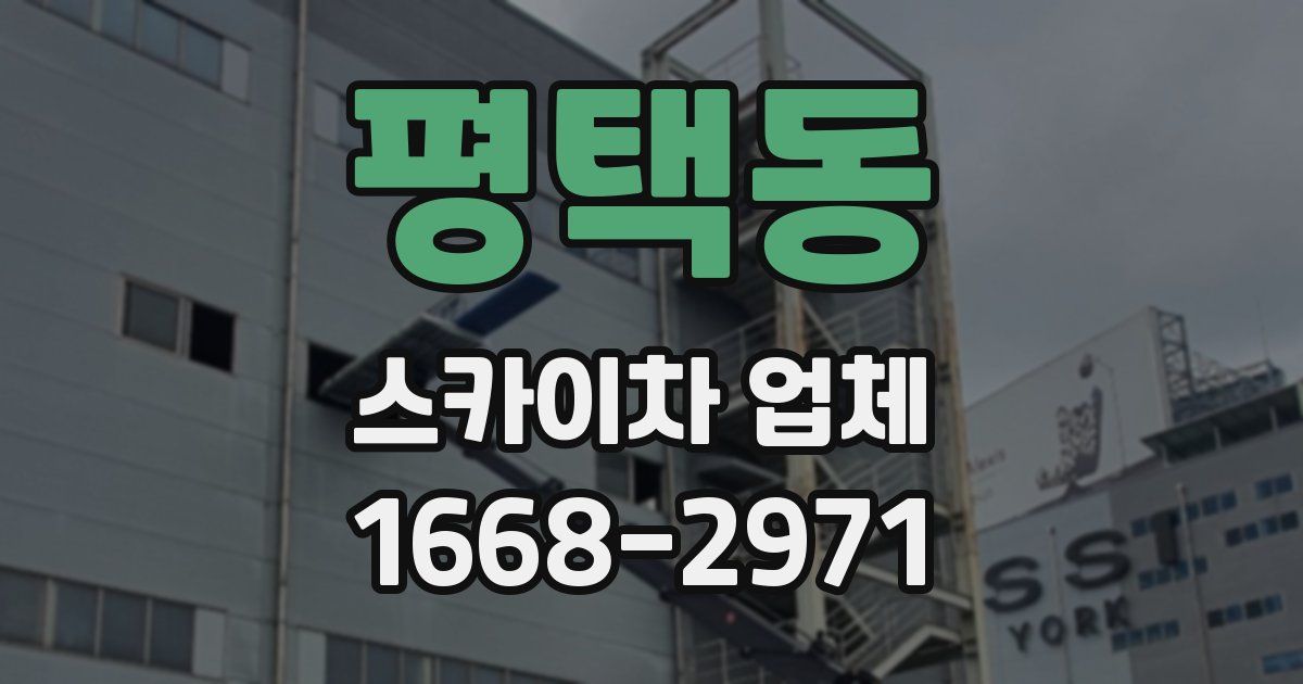 평택동 스카이차 업체
