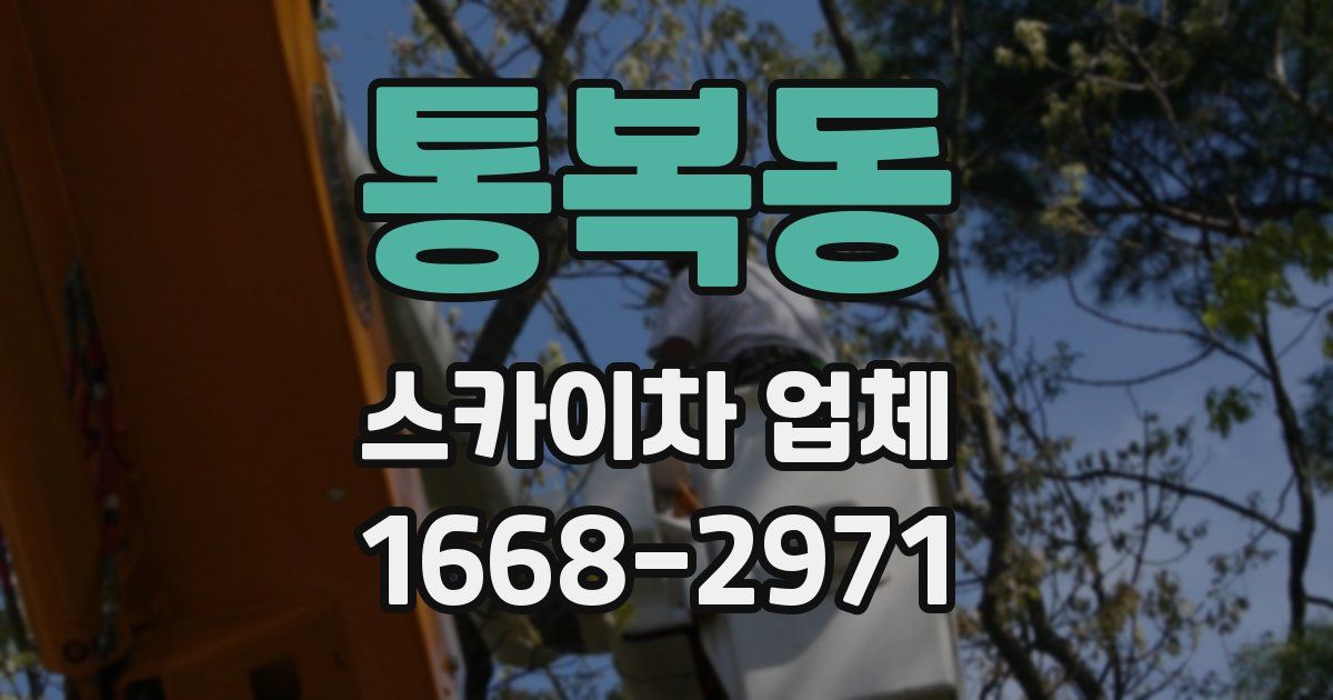통복동 스카이차 업체
