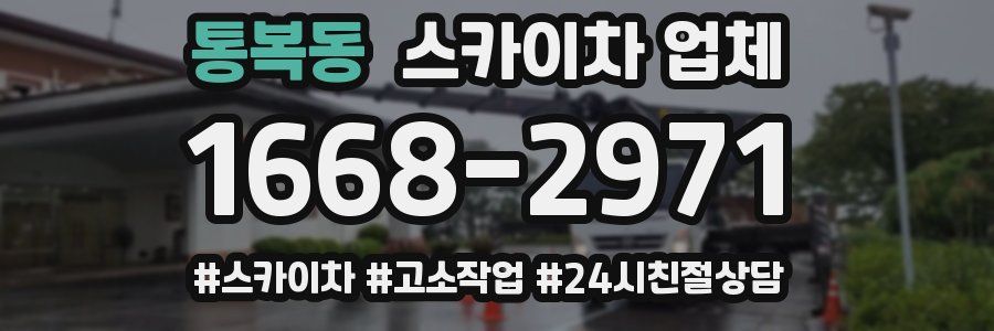 통복동 스카이차 업체