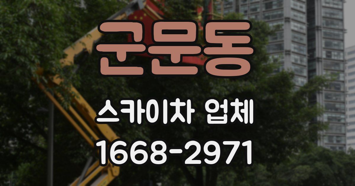 군문동 스카이차 업체