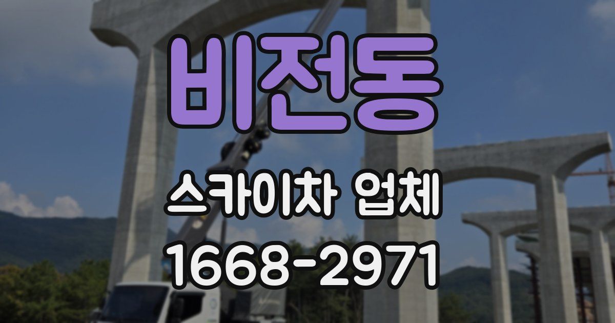 비전동 스카이차 업체