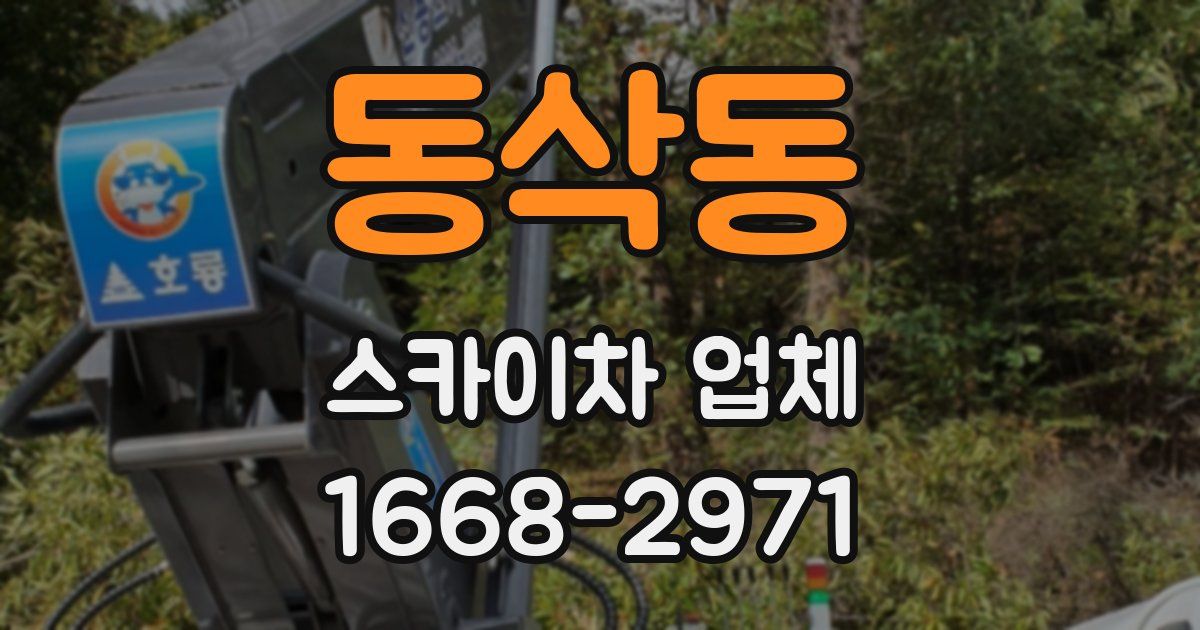 동삭동 스카이차 업체