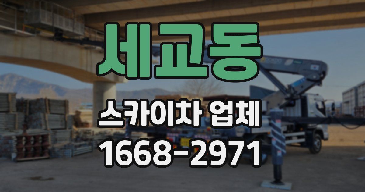 세교동 스카이차 업체