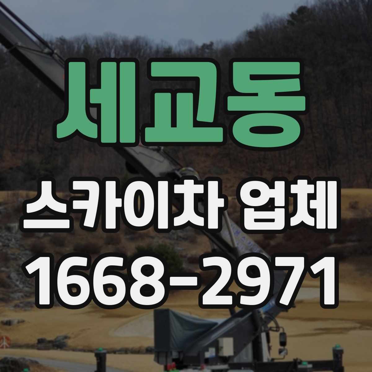 세교동 스카이차 업체