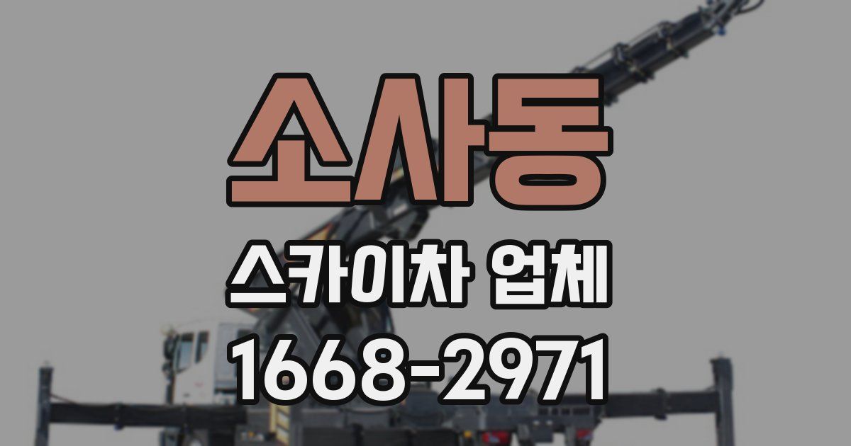 소사동 스카이차 업체