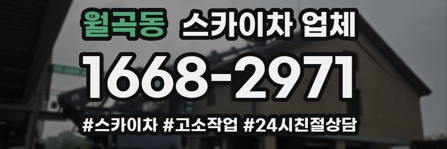 월곡동 스카이차 업체