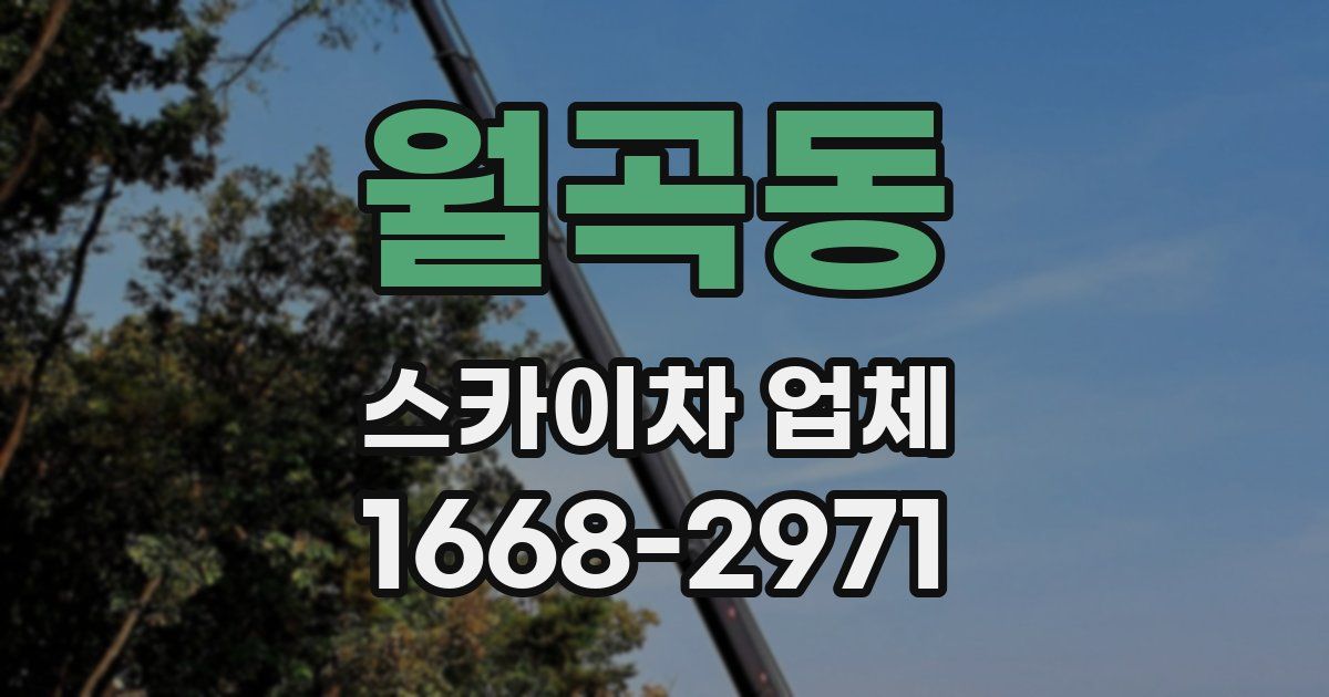 월곡동 스카이차 업체