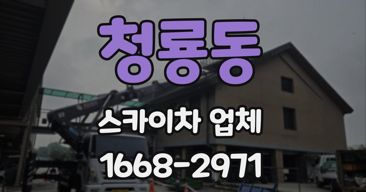 청룡동 스카이차 업체