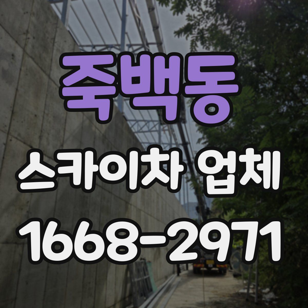 죽백동 스카이차 업체