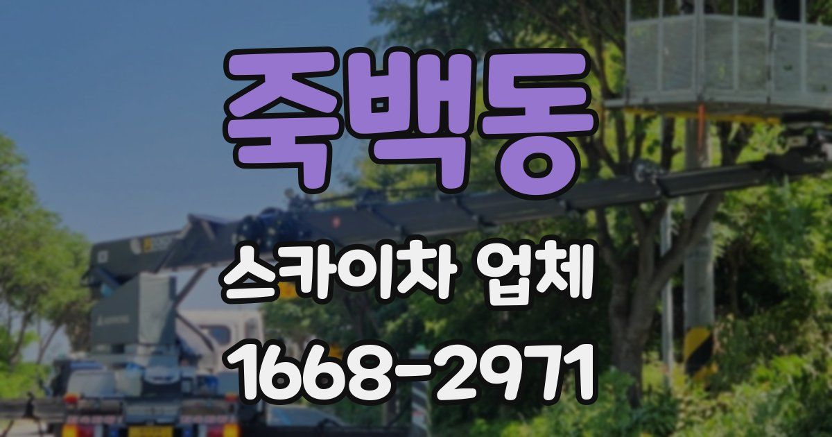 죽백동 스카이차 업체