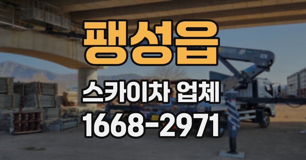 팽성읍 스카이차 업체