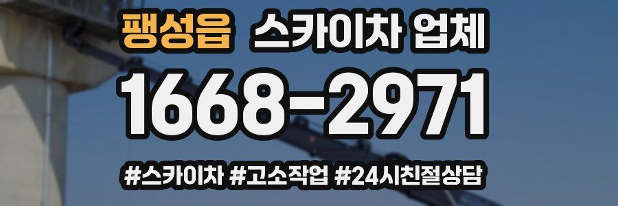 팽성읍 스카이차 업체