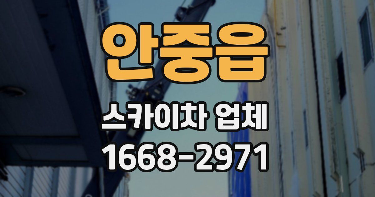 안중읍 스카이차 업체