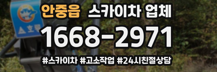 안중읍 스카이차 업체