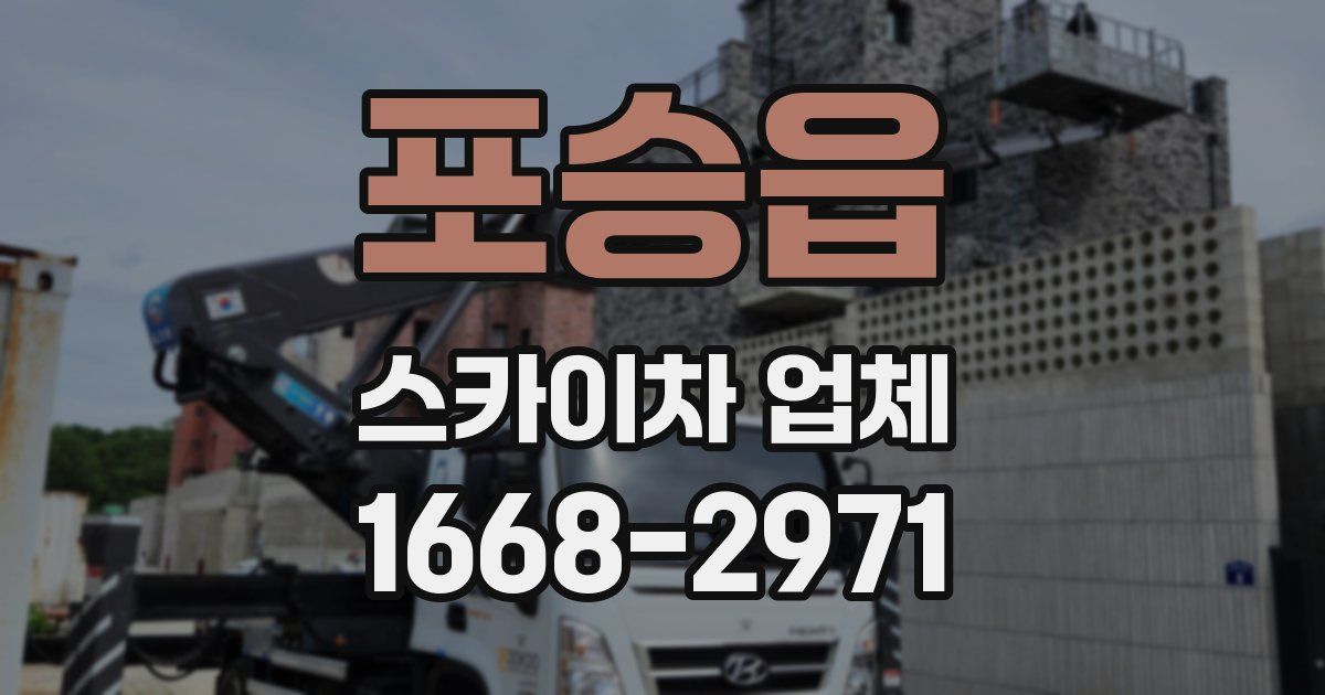 포승읍 스카이차 업체
